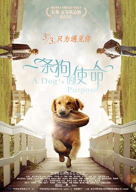 a∨在线观看
