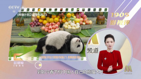 国产青春草